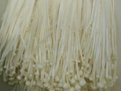 金针菇-刁四藤椒麻辣烫(良村开发区店)