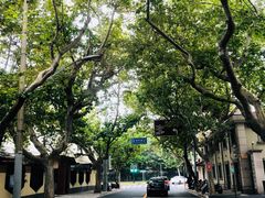 -玫瑰厅上海菜(兴国路店)