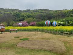-苏州上方山国家森林公园