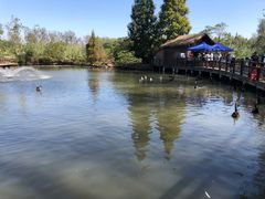 -溱湖国家湿地公园