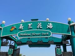 -荷兰花海