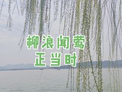 -柳浪闻莺公园
