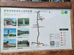 -磬锤峰森林公园