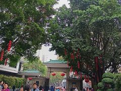 -荔湾湖公园