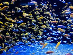 -成都浩海立方海洋公园