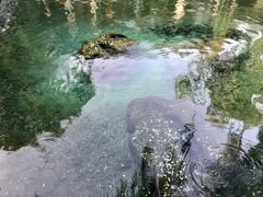 -趵突泉景区