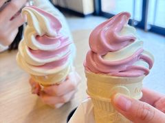 -麦当劳(石家庄北国店)
