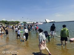 -碧海金沙