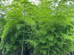 -驿舍·民國老营房院子私房菜(科学会堂店)