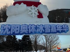 -沈阳奥体冰雪嘉年华