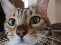 -Me Coffee下午茶艺术空间