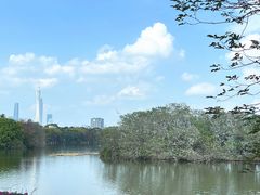 -海珠湖公园