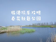 -春花秋色城市公园