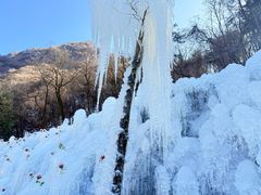 -秦岭终南山世界地质公园翠华山景区