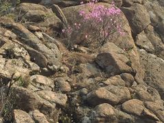 -丹东市五龙山风景区