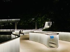 -银湖山郊野公园-相思林