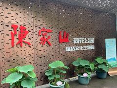 -陈家山荷花公园