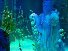 -沈阳海洋探索中心