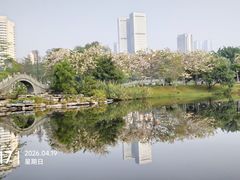 -四海公园(南山区)