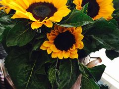 -花木兰花艺MULAN(温馨花园店)