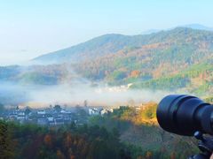 -塔川景区