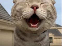 -博特宠物医院24h犬猫全科.骨科·异宠