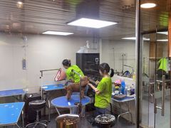 -转角宠物(转塘方家苑店)