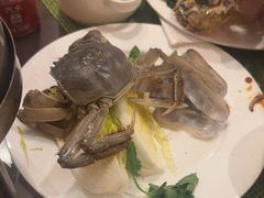 -天豪大酒店·爱琴海自助餐厅