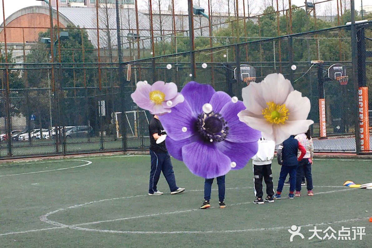 不一样的小众运动