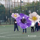 不一样的小众运动