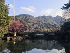 -中国茶叶博物馆(双峰馆区)