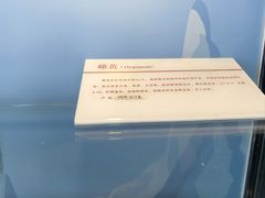 -中国第四纪冰川遗迹陈列馆