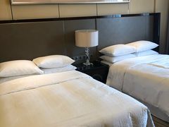 -廊坊固安福朋喜来登酒店