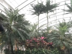 -国信南山温泉