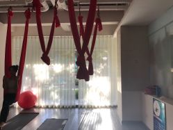 -榕树上·瑜伽普拉提