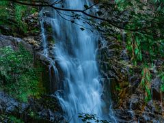 -鼎湖山风景区