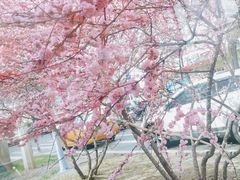 -建国公园