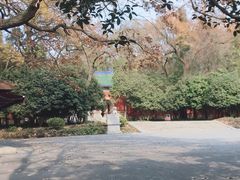 -灵谷景区