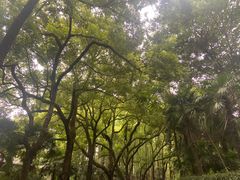 -采石矶景区