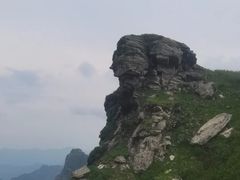 -秦岭风景区