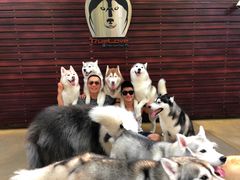 -TrueLove @ Neverland (Husky Cafe)