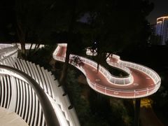 -金鸡山公园