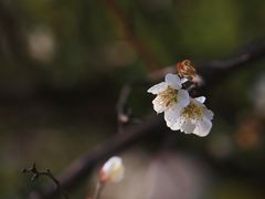 -尚贤河湿地