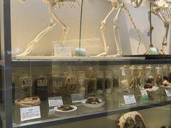 -广东中医药博物馆