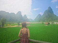 -明仕田园