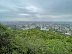 -杭州半山国家森林公园