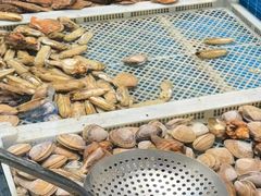 -码头鲜精致威海菜(欧乐坊店)