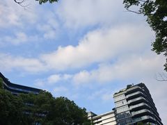 -绿城千岛湖喜来登度假酒店