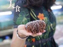 -达叔香味海鲜(海棠68环球美食街店)