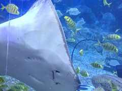 -石林冰雪海洋世界